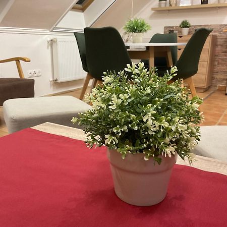 Sport Apartman Hajdúszoboszló Exterior foto